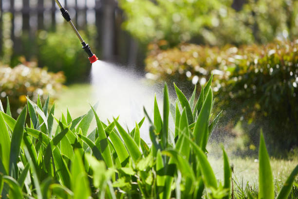 24/7 Emergency Wasp Removal experts in Lodi, OH
