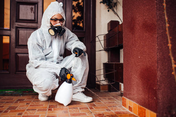 Reliable Wasp Removal contractor in Lodi, OH by Show Me Pest Control